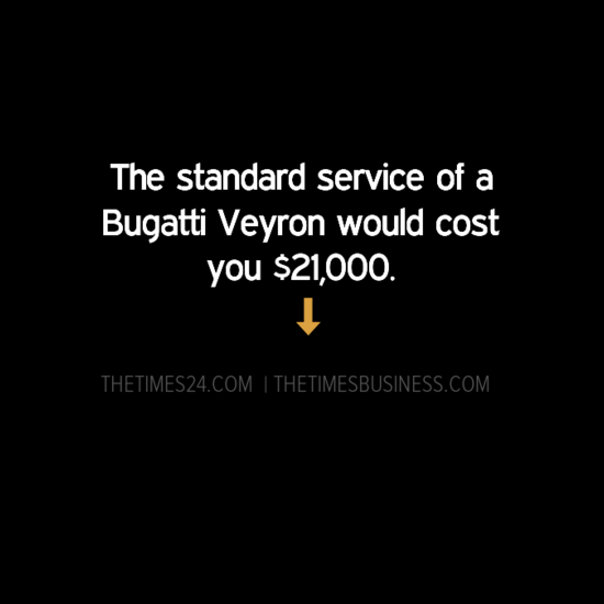 the-standard