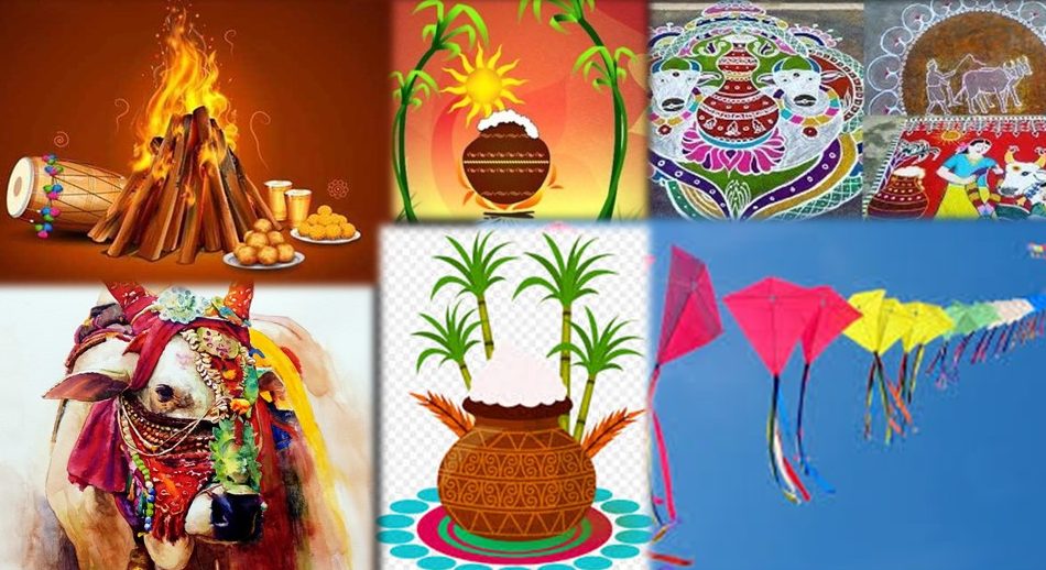 Significance of 4-Day Sankranti Festival In Telugu States