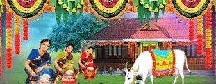 Significance of 4-Day Sankranti Festival In Telugu States