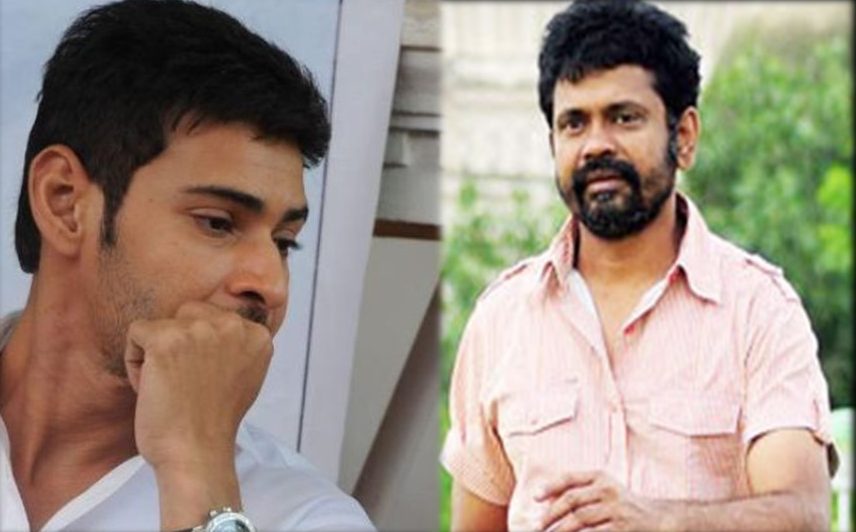 REASON Why Telugu Superstar Mahesh Babu Said NO To Sukumar