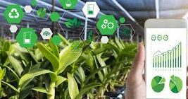 Details of Steps India Taken To Promote E-agriculture